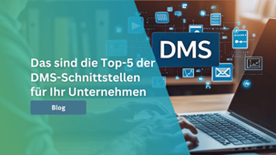 Darstellung vernetzter Softwaresysteme über DMS-Schnittstellen im Unternehmen